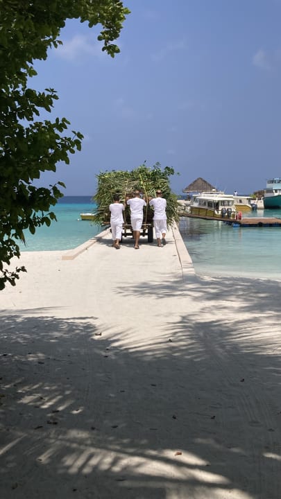 Strand Summer Island Maldives