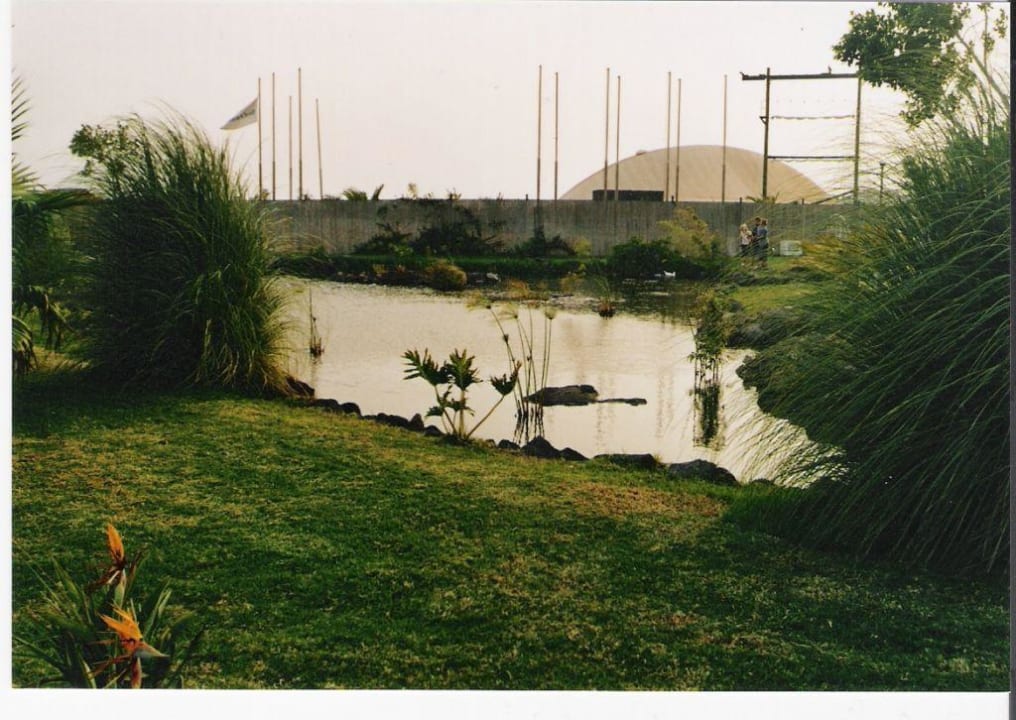 Gartenanlage mit einem Teich Hotel THB Tropical Island