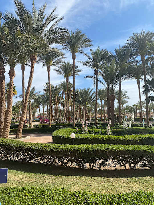 Gartenanlage Giftun Azur Resort