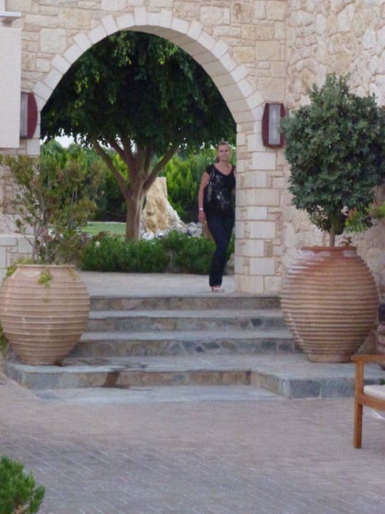 Innenhof Cactus Royal