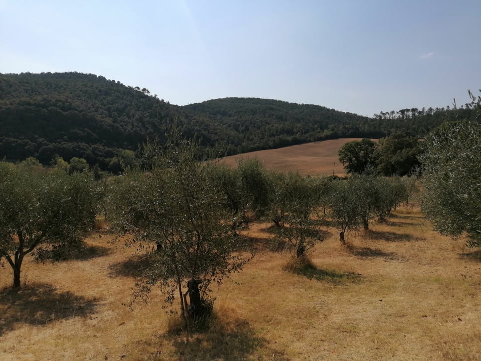 Gartenanlage Agriturismo Podere Cafaggiolo