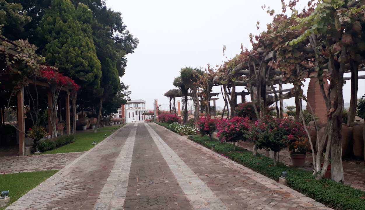 Gartenanlage Hotel Viñas Queirolo