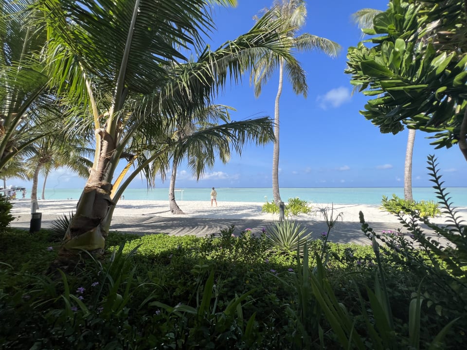 Ausblick Hotel Riu Atoll