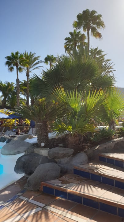 Pool Corallium Beach by Lopesan Hotels - Adults only