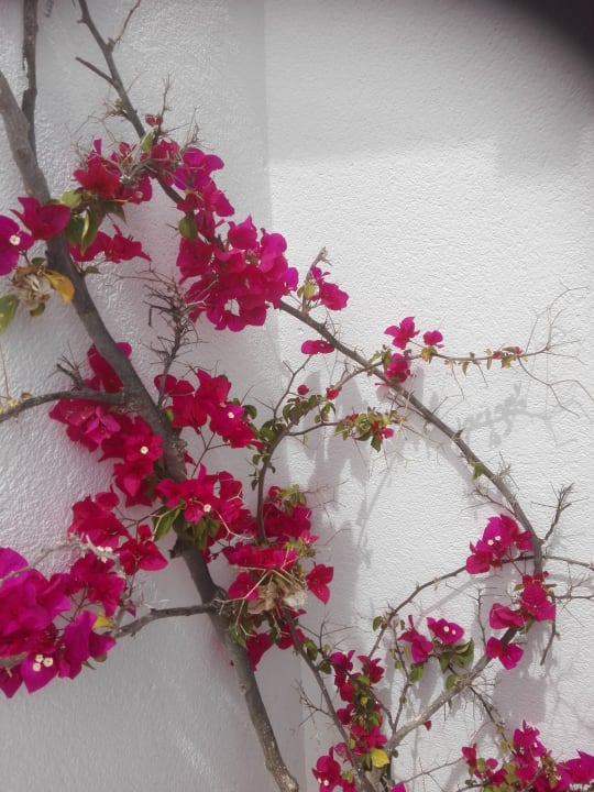 Sonstiges BLUESEA Es Bolero