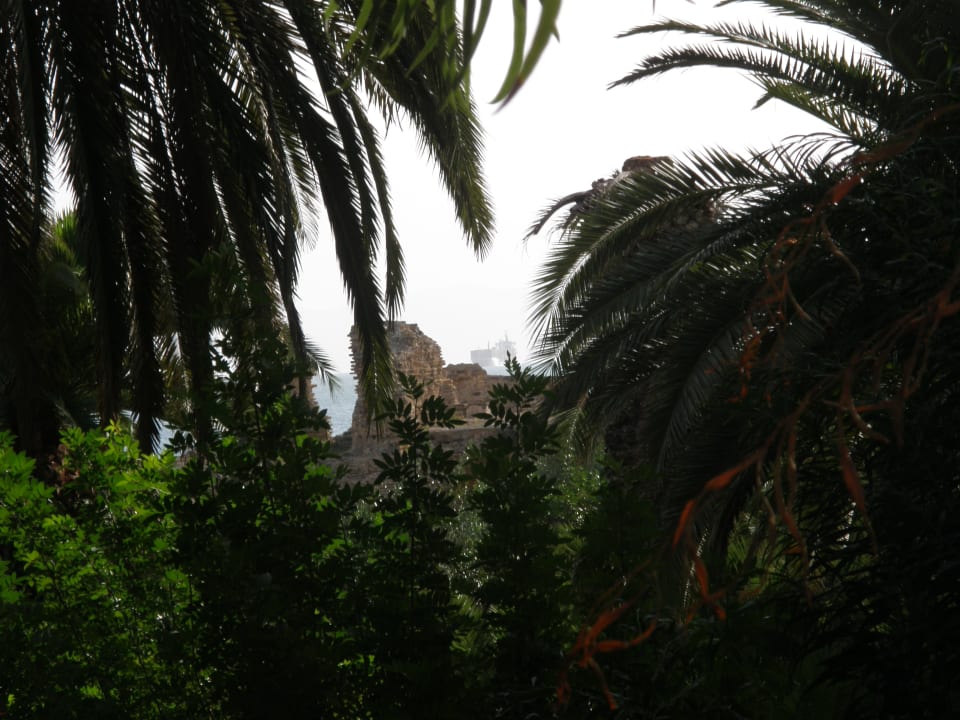 Gartenanlage Hotel Paradis Palace