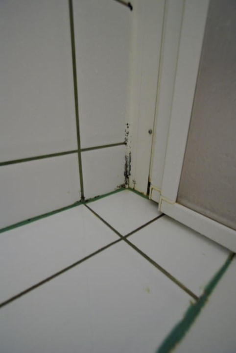 Schimmelige Dusche Hunguest Hotel Millennium