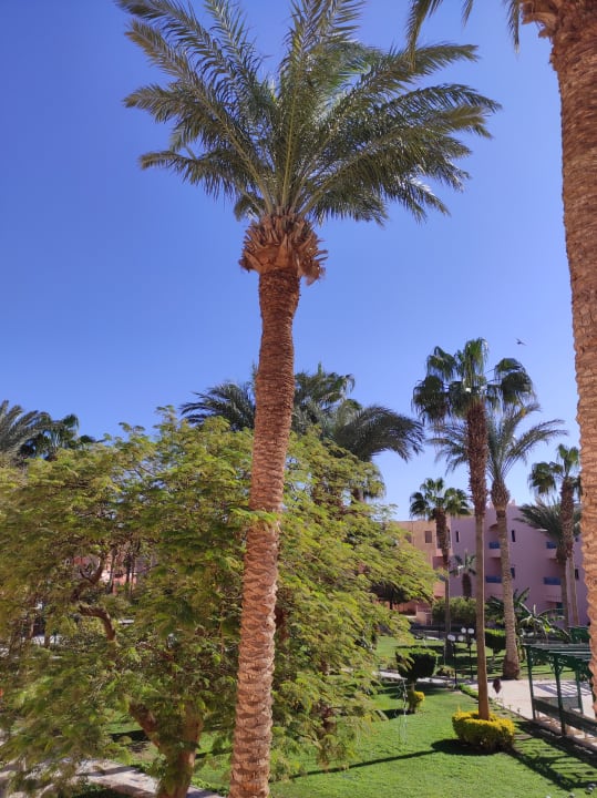 Gartenanlage Hotel Le Pacha Beach Resort