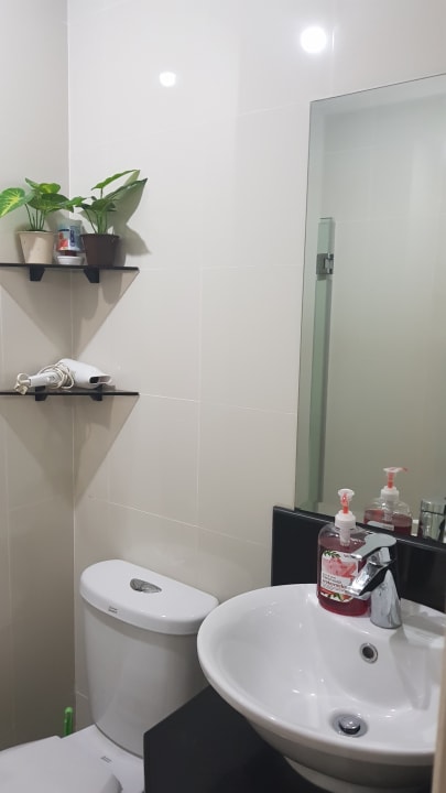 Zimmer One Palm Tree Condo