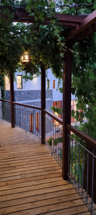 Außenansicht Kalypso Hotel