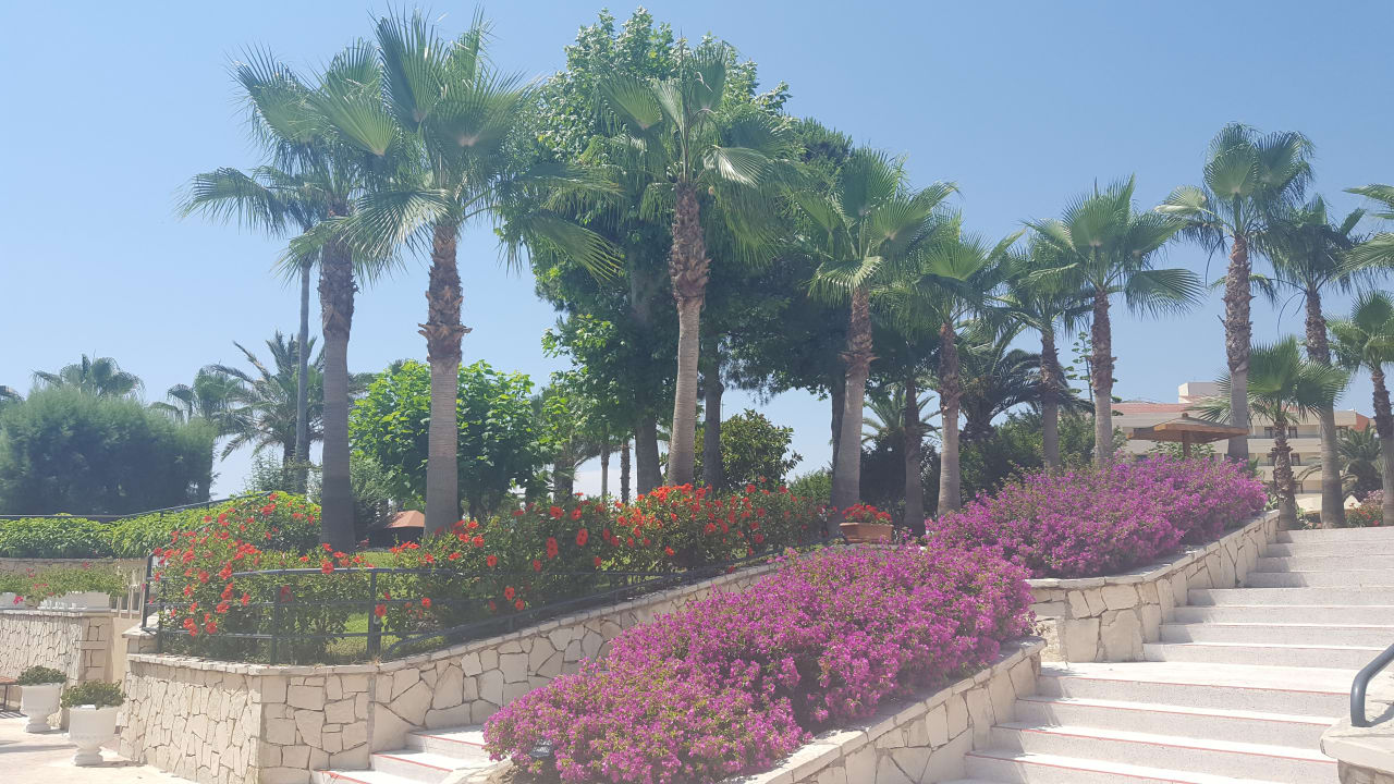Gartenanlage Miramare Queen Hotel