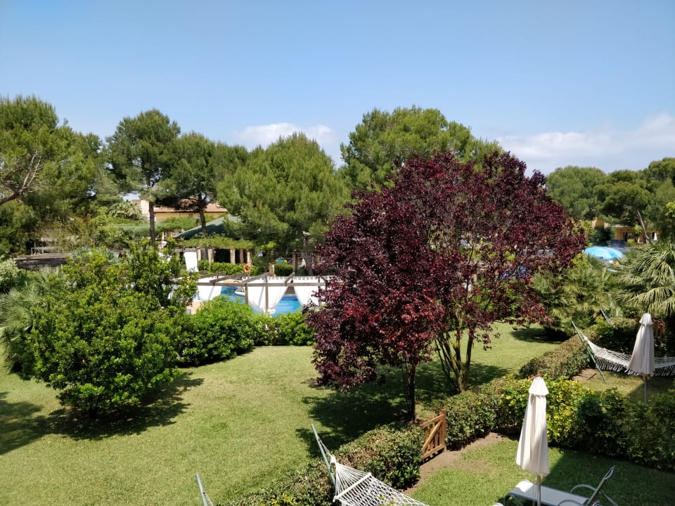 Gartenanlage Zafiro Mallorca