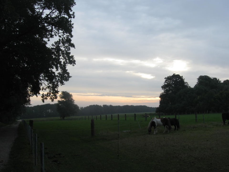 Ponys/Weg zum Strand in der Dämmerung Ferienbauernhof Liesenberg mit Meerblick