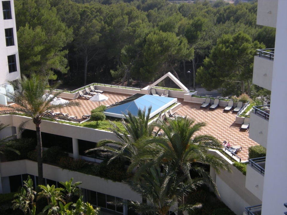 Sonnenterrasse Hipotels Bahia Grande