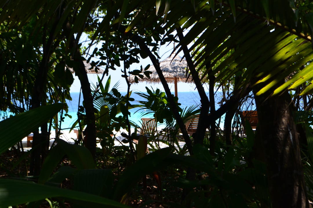 Beach NH Collection Maldives Reethi Resort