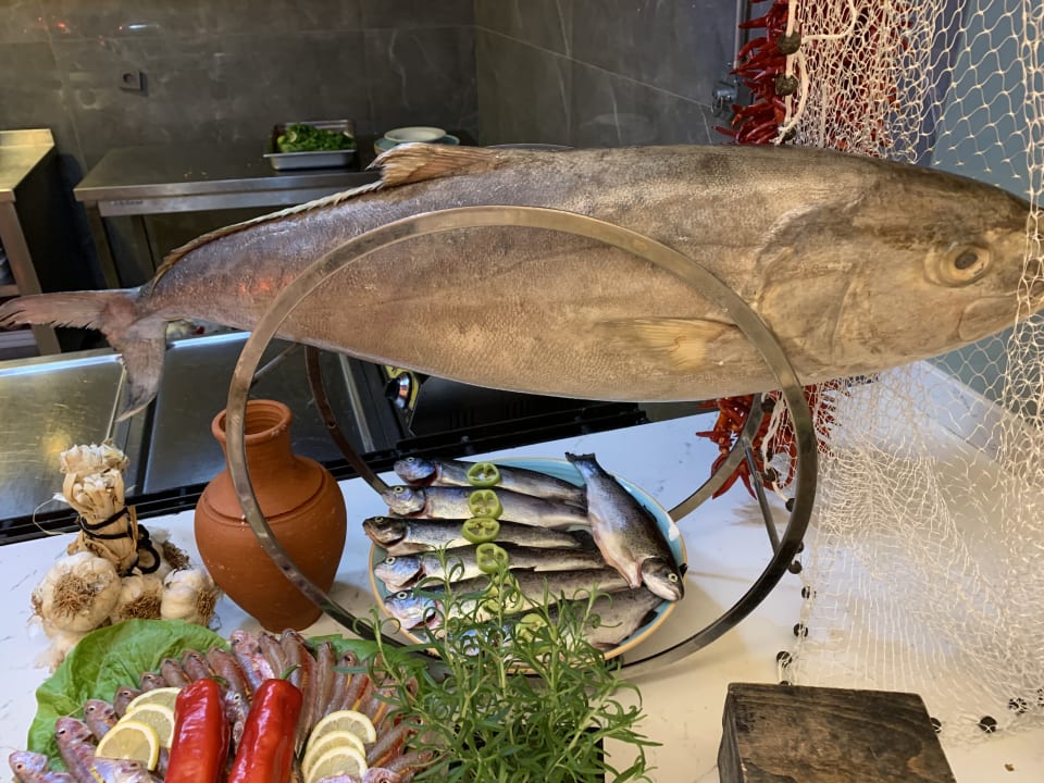 Gastro Seaden Quality Resort & Spa