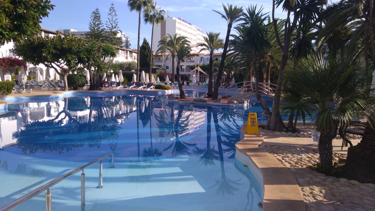 Pool Alcudia Garden Aparthotel