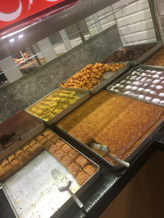 Gastro Seashell Vega