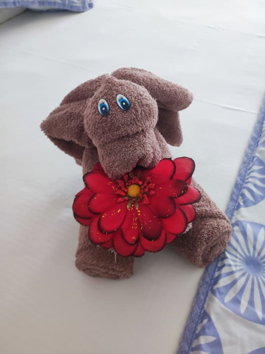 Zimmer Hotel Riu Playacar