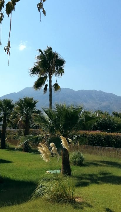 Gartenanlage Delfina Tropic Beach