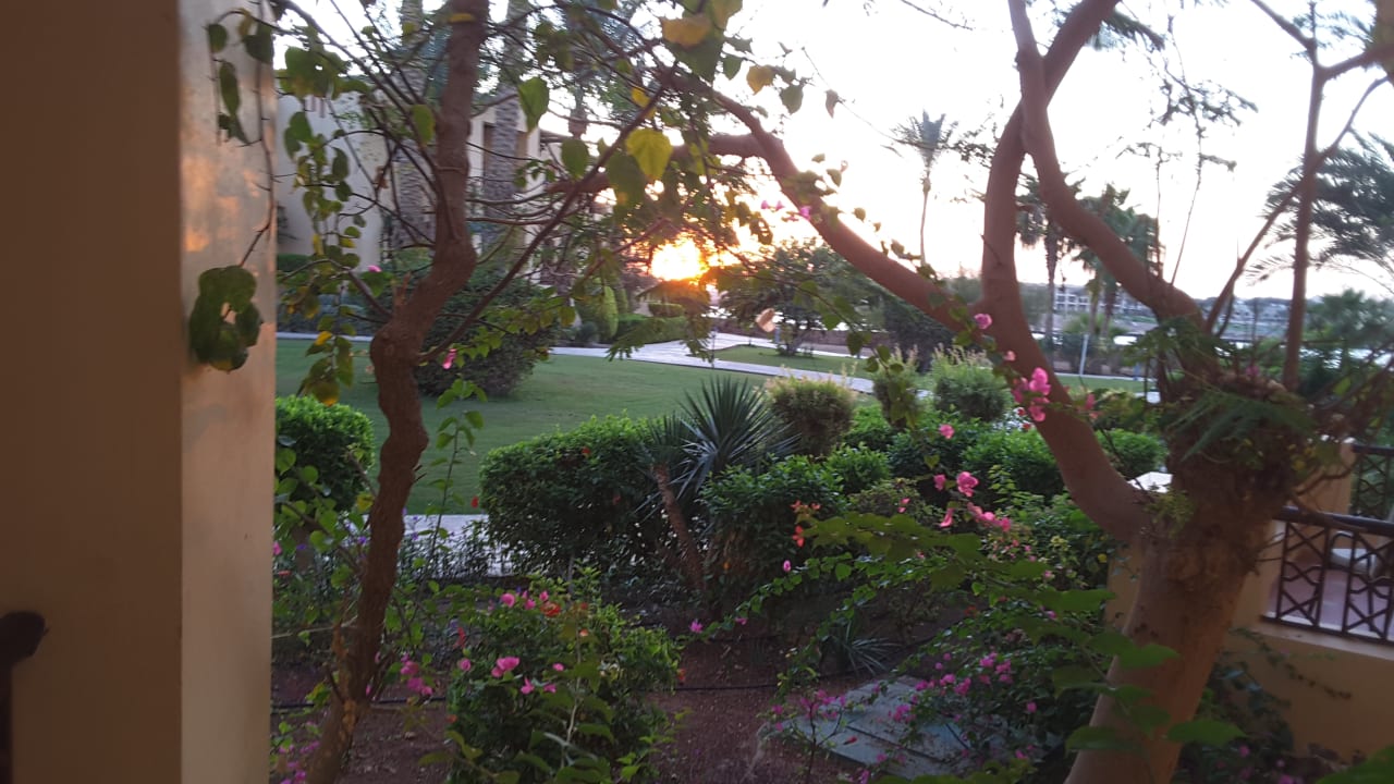 Gartenanlage Steigenberger Coraya Beach - Adults only