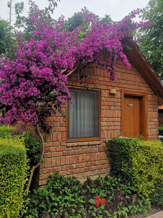 Zimmer Can Garden Beach