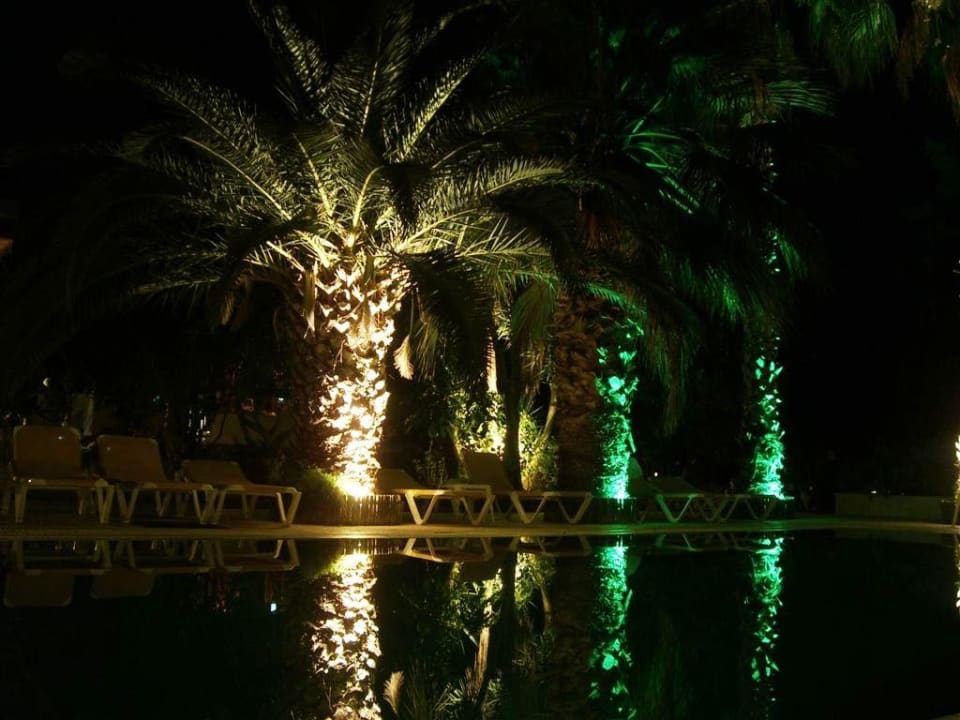 Pool bei Nacht Hotel Lemon Garden