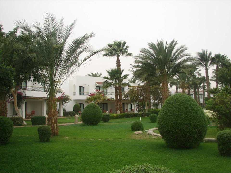 Садик Lotus Bay Beach Resort