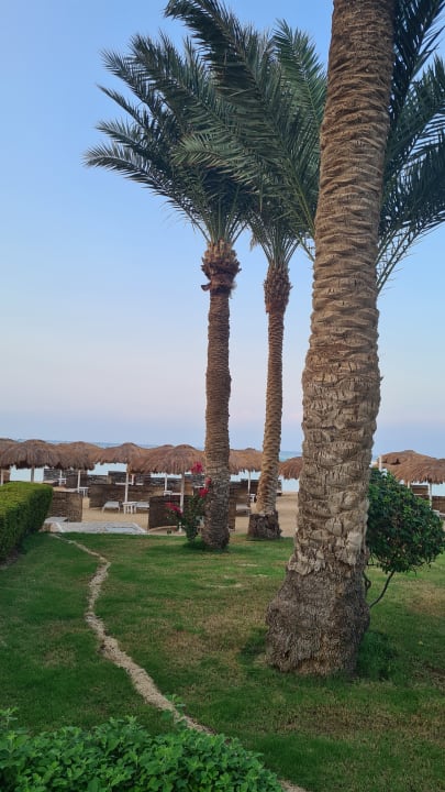 Ausblick Meraki Resort (Adults Only)