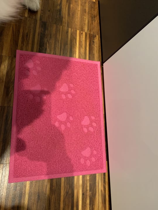 Zimmer Hotel Schloss Montabaur