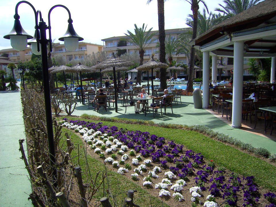 Einfach nur schön Prinsotel La Dorada