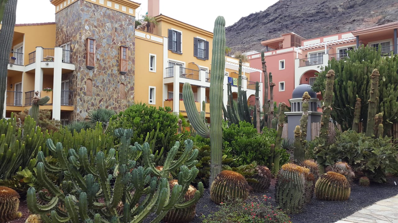 Kaktusgarten Hotel Cordial Mogán Playa