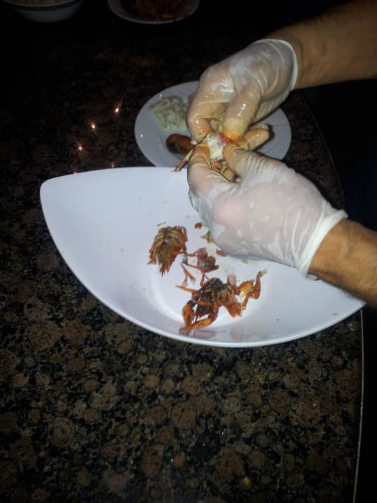 Hilfe beim Zubereiten Megasaray Club Belek