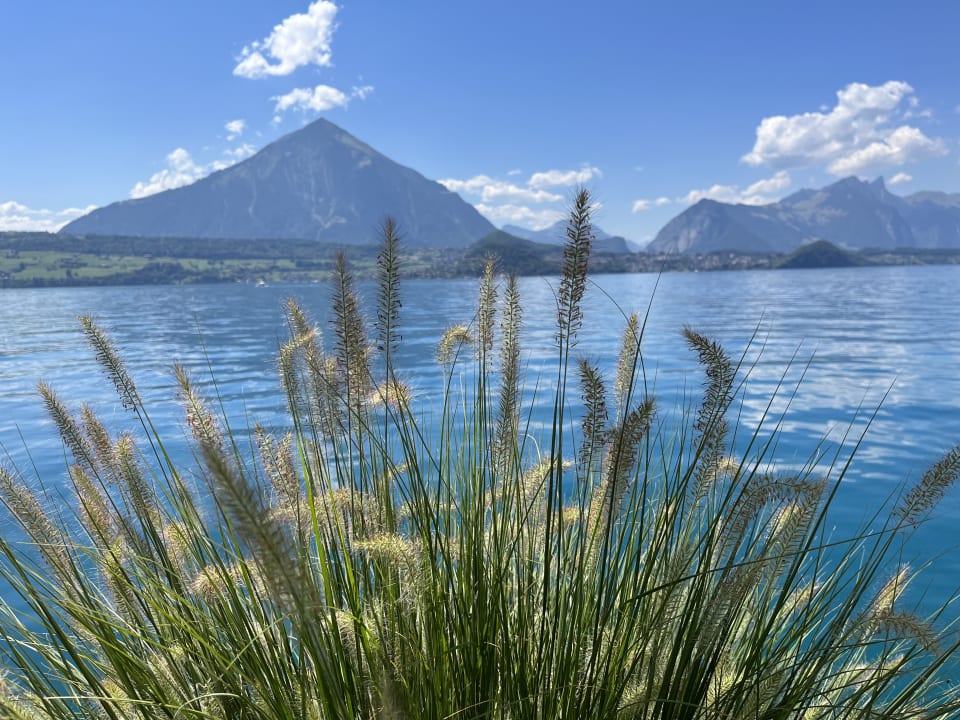 Ausblick Beatus Wellness- & Spa-Hotel