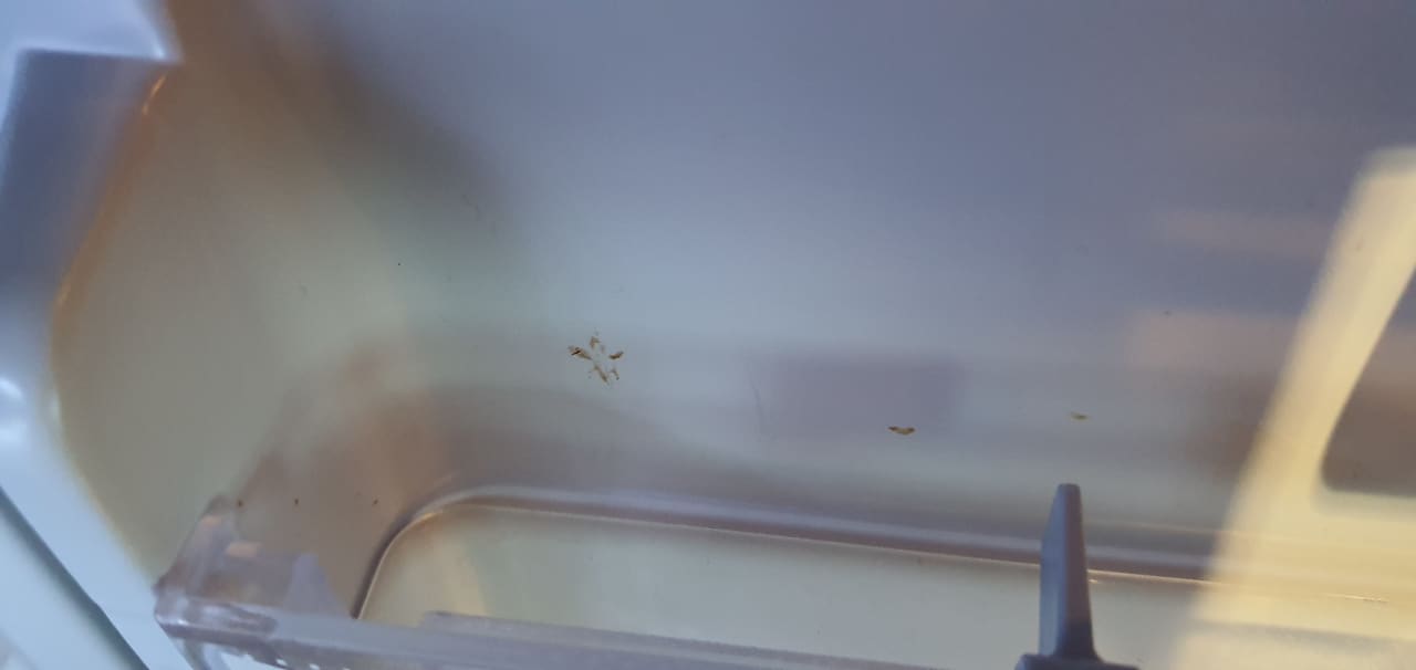 Zimmer Oaks Ibn Battuta Gate Dubai