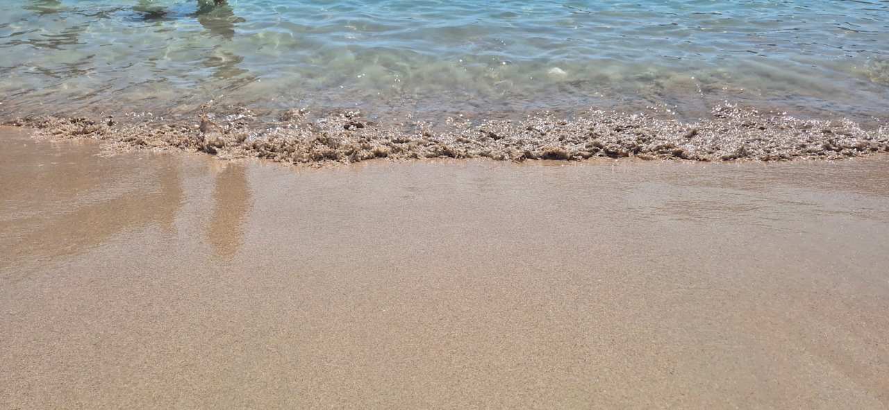 Strand Smy Portocolom