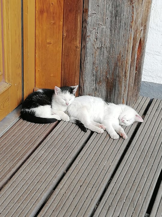 Sport & Freizeit Wiesenberghof