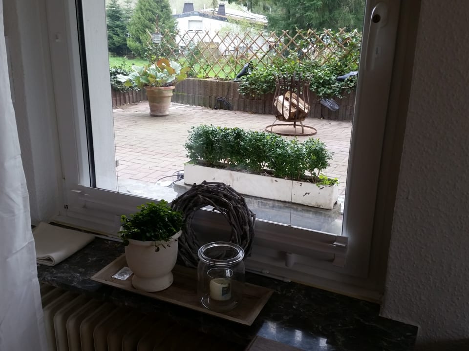 Ausblick Fewo am Wald