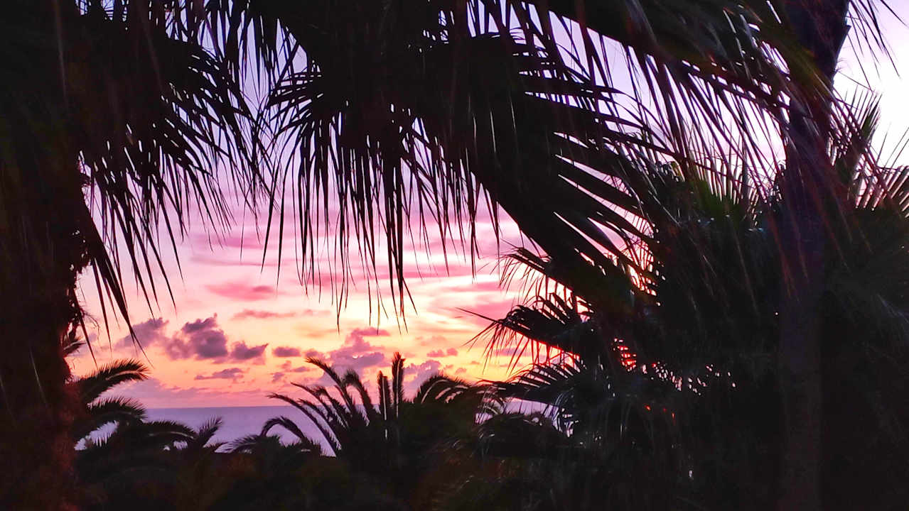 Ausblick Elba Lucía Sport & Suite Hotel