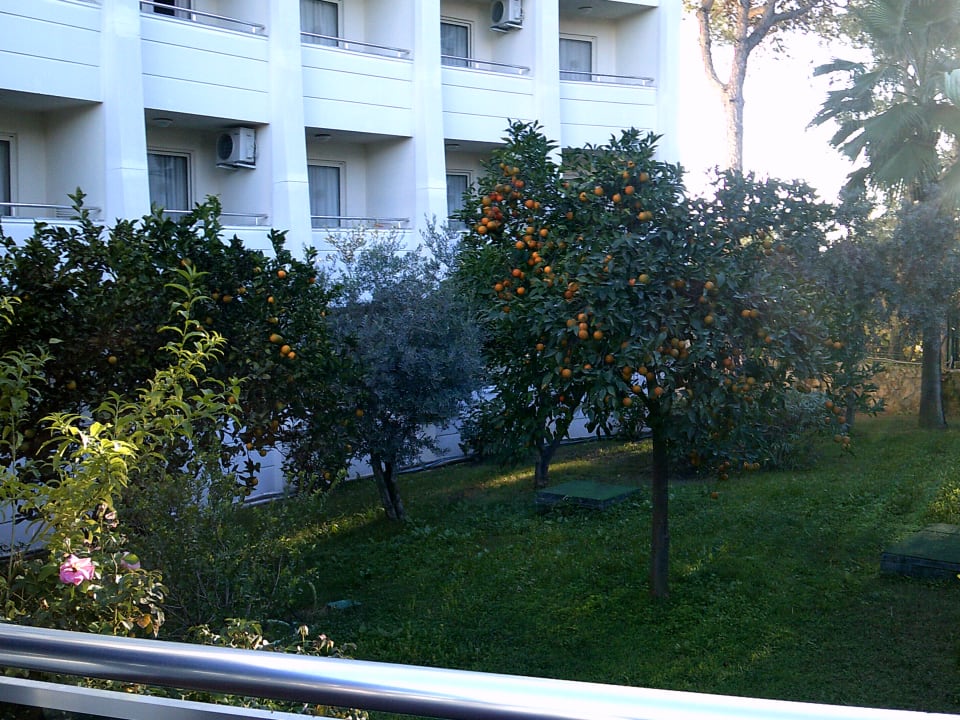 Ausblick Side Alegria Hotel & Spa - Adults only +16