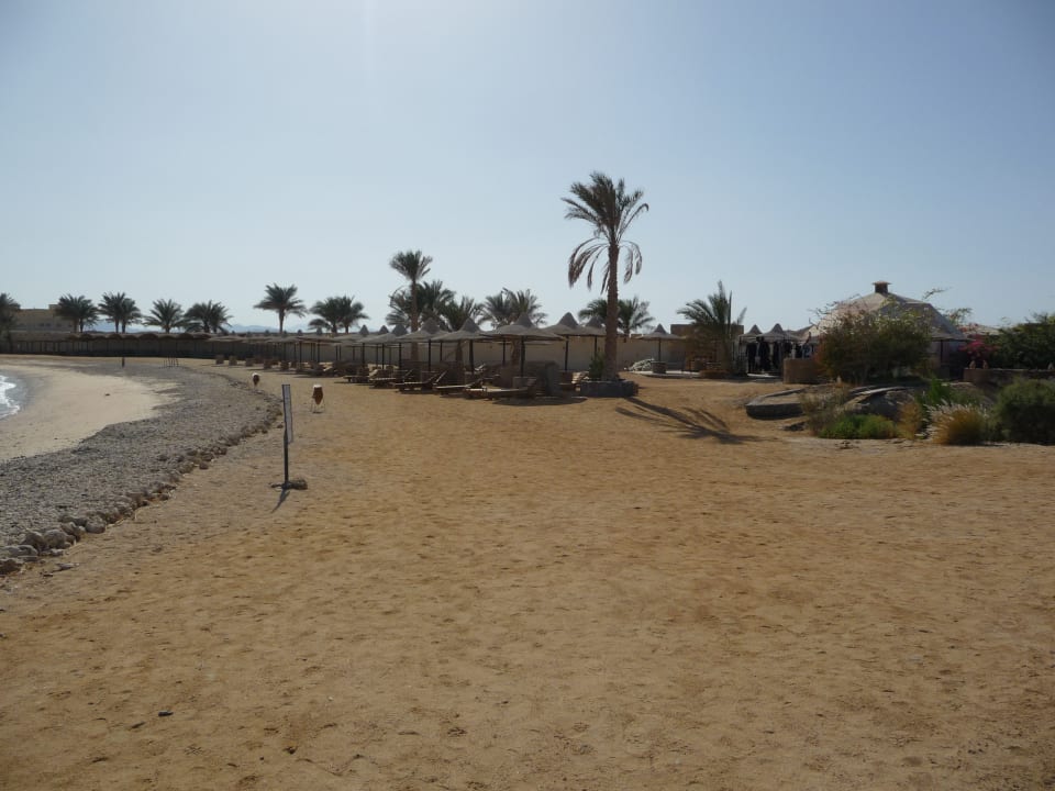 Strand Coral Sun Beach