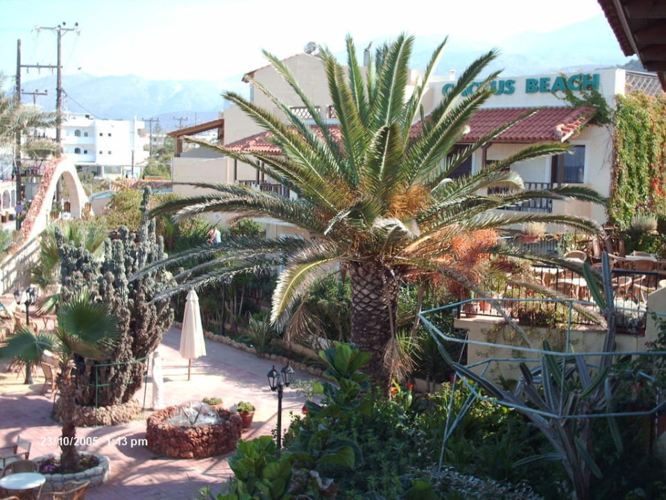 Terrasse Cactus Beach