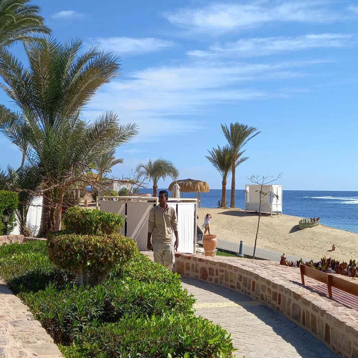 Sonstiges Steigenberger Coraya Beach - Adults only