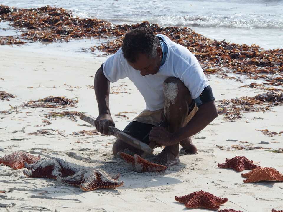 Strand  Melia Marina Varadero
