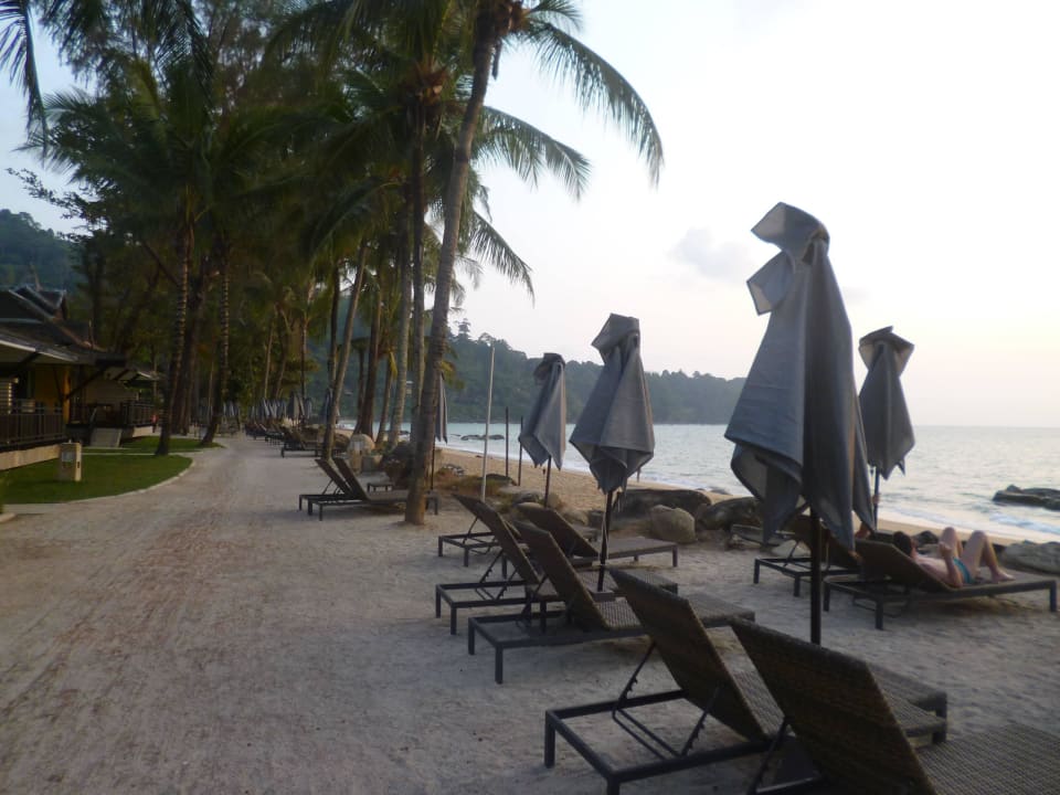 Liegen max. in zweiter Reihe Moracea by Khao Lak Resort