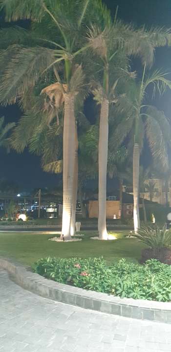 Gartenanlage Beach Albatros Resort