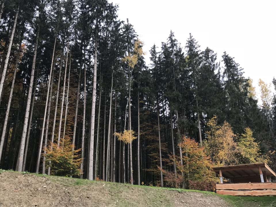 Ausblick Bayern Chalets