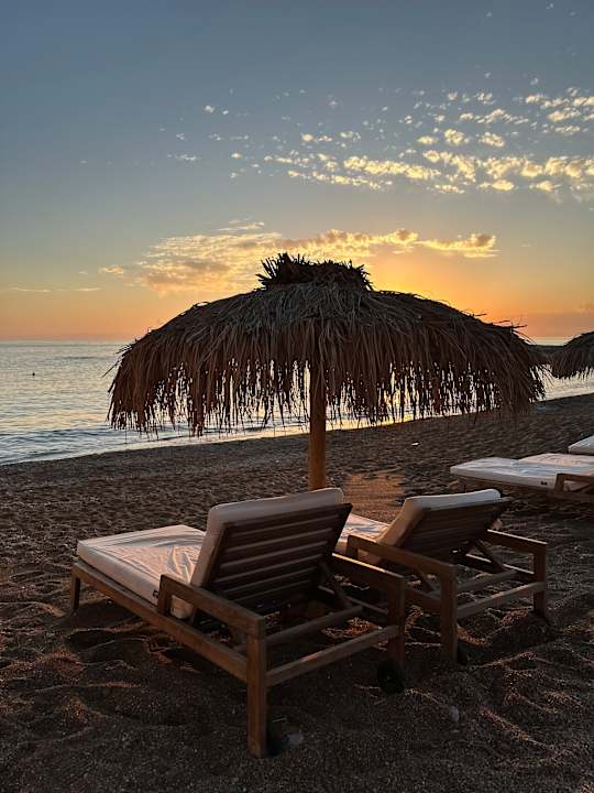 Strand Rubi Platinum Sign