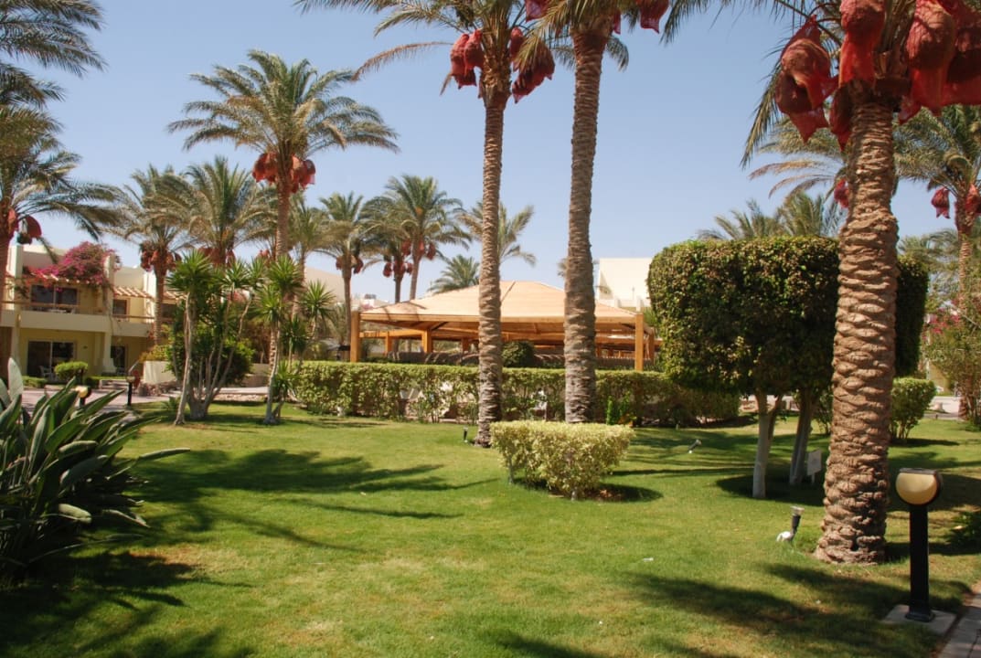 Gartenanlage Palm Beach Resort