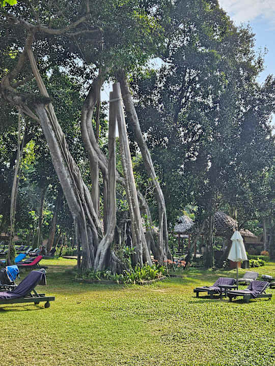 Gartenanlage Khao Lak Merlin Resort